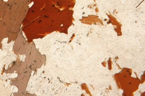 Biotite Cordierite Gneiss, showing foxy biotite with black circles of damage around zircons. Image courtesy of Siim Sep via wikicommons