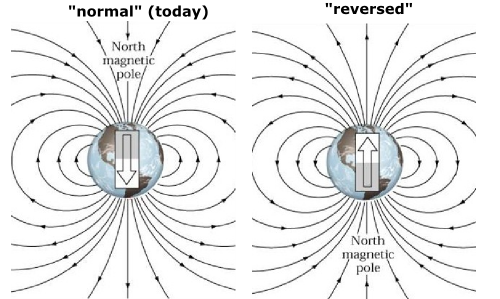 Hele tiden lastbil pause Is the Earth's magnetic field about to flip? | Highly Allochthonous