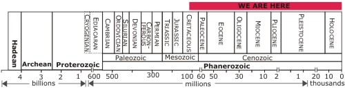 Geological Basics The Difference Between Chronology And Stratigraphy 