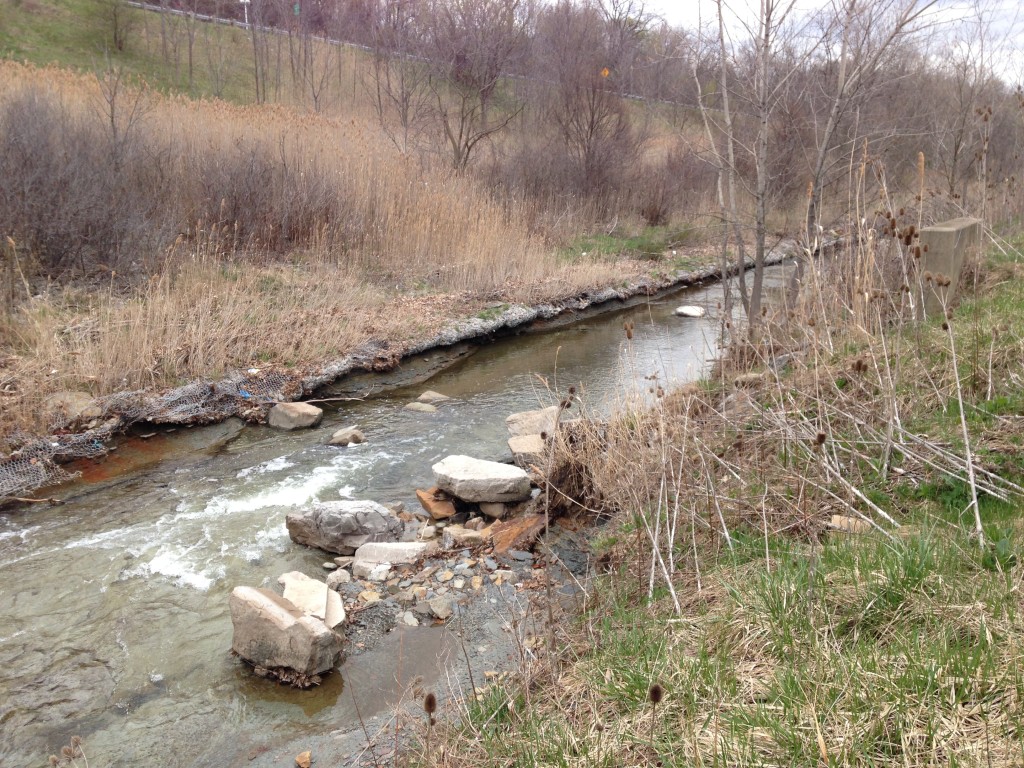 Stream with large boulders and dead/dormant vegeation on the banks. 