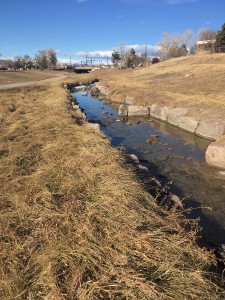 Photo of stream with placed rocks lining banks, grass surrounding