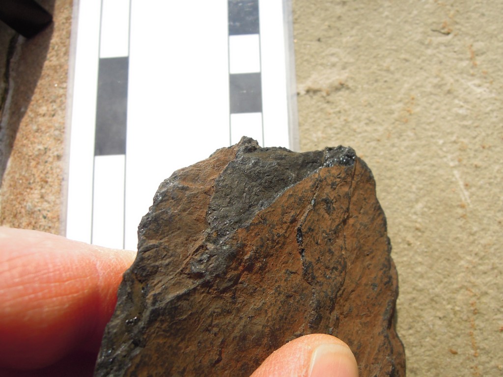 Coal showing shiny edge "vitreous habit"