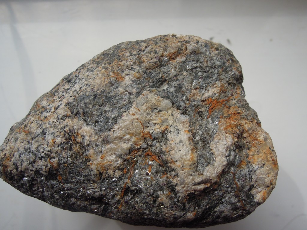 High grade migmatitic gneiss with folded granite vein - Moine from Scotland