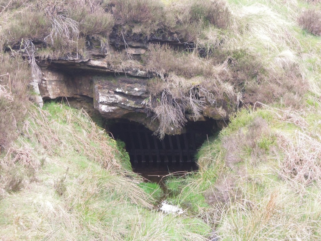 'Sough' a drainage tunnel from shallow coal mining, Goyt's Moss