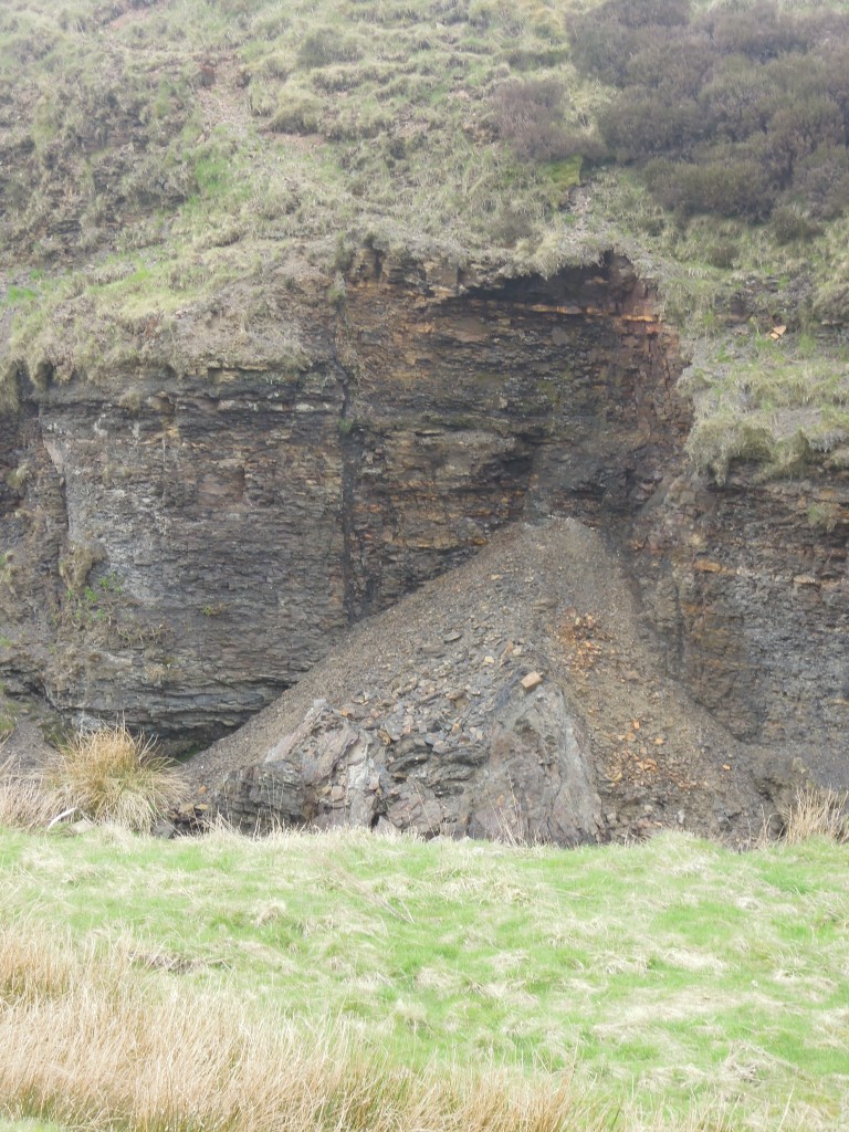 Carboniferous shale, Goyt's Moss