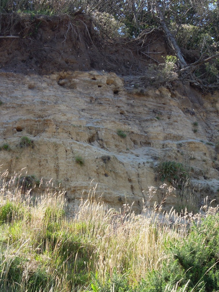 cliffs at Dunwich