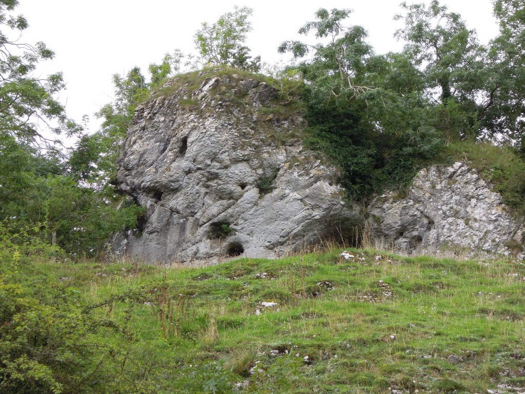 Massive 'reef' limestone, Manifold valley