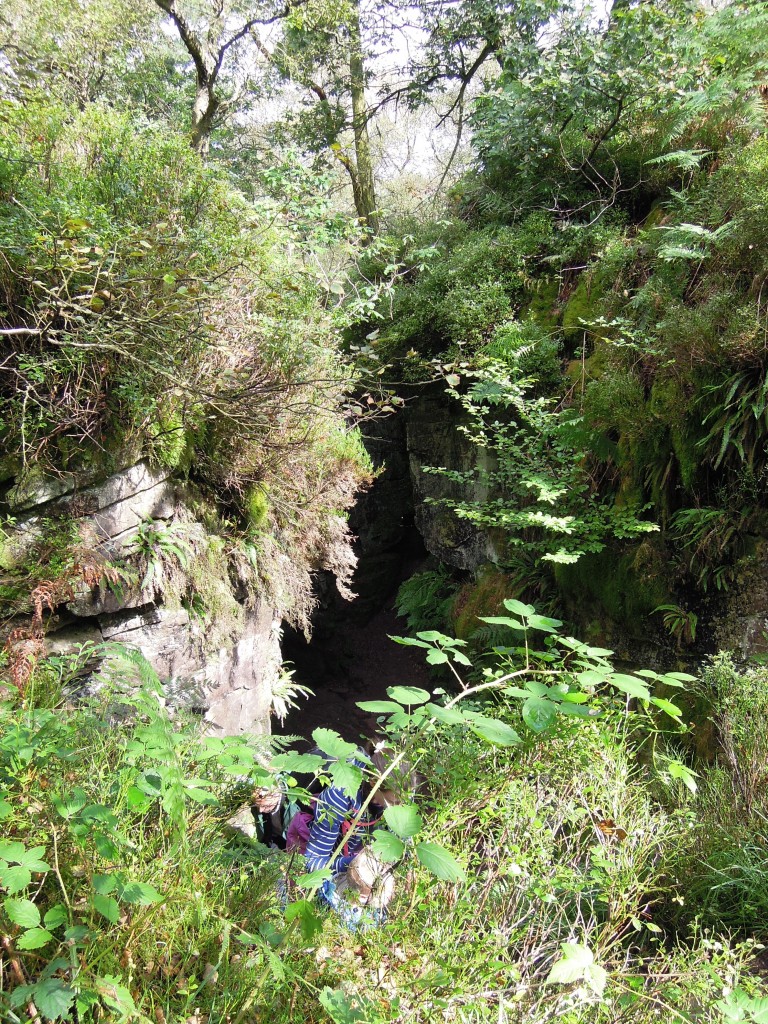 Entrance to Lud's church