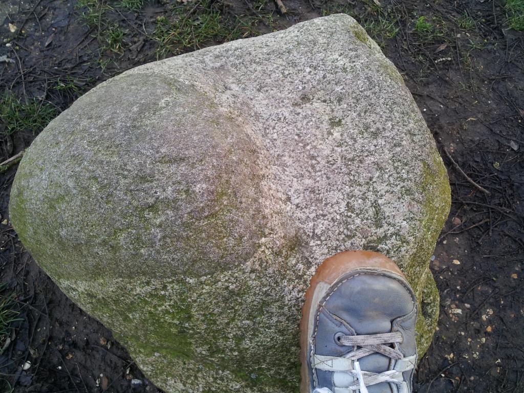 granite with xenolith / blobby