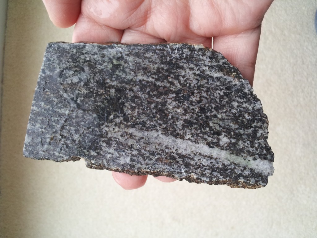 Gabbro in my hand