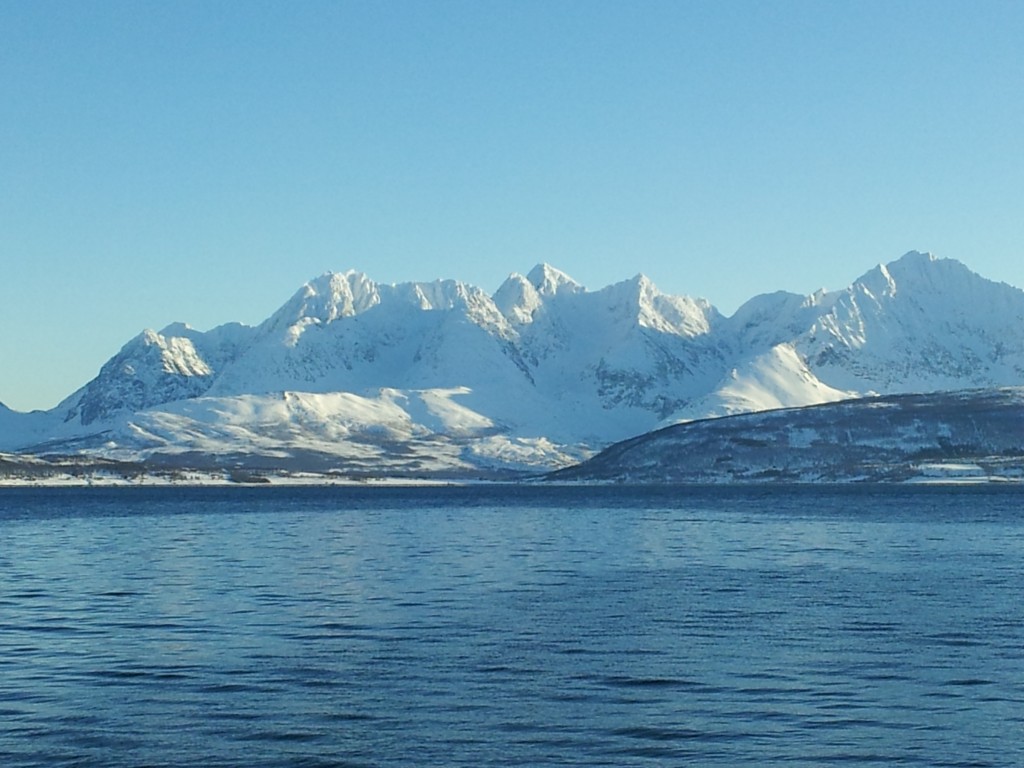 Lyngen Alps from Oldervik