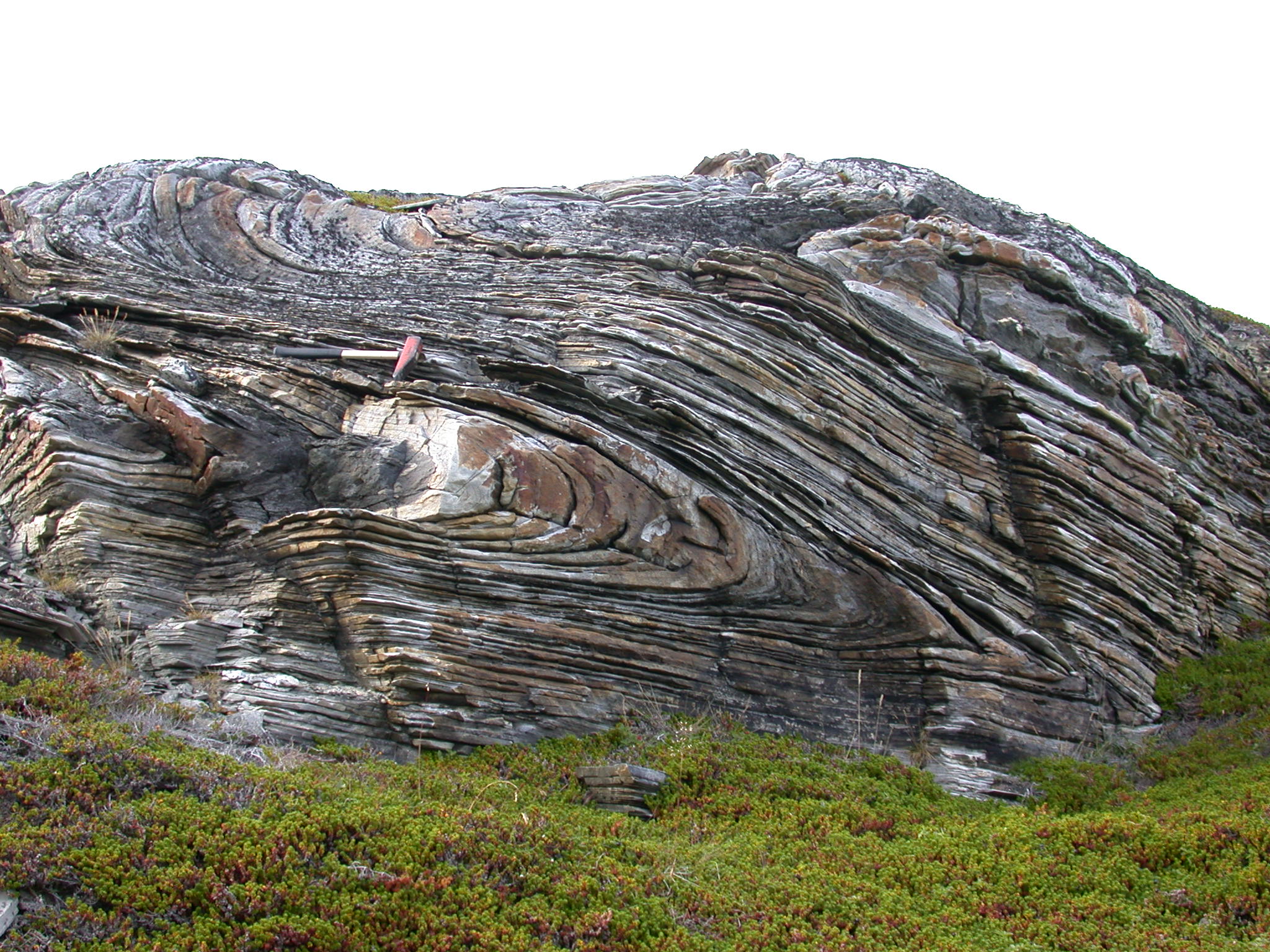 folding geology