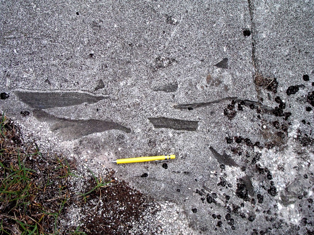Granite from Donegal. Xenoliths in microgranite near Polcrovehy. Courtesy of Carl Stevenson.