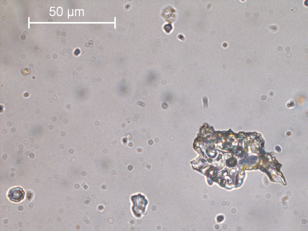 Ash grain from Eyjafjallajokull collected in UK rainwater