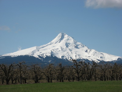 Mt Hood from the North