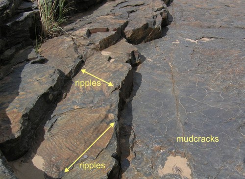 Ripples and mudcracks in the NeoArchean Pongola Supergroup, White Mfolozi River