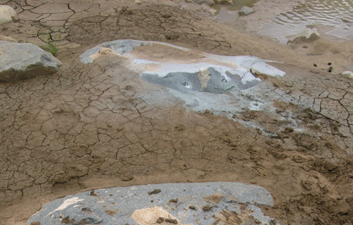 Contemporary mudcracks in the White Mfolozi River