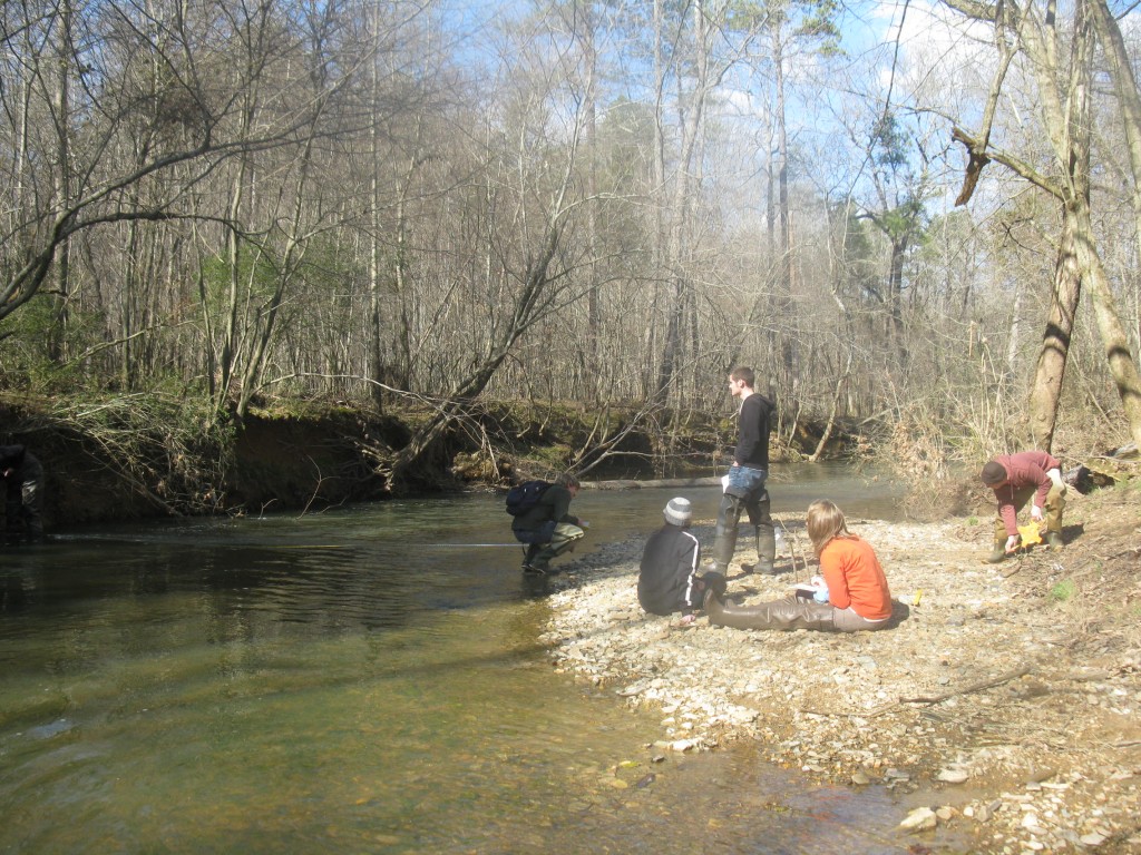 UNCC Fluvial Processes class at Goose Creek