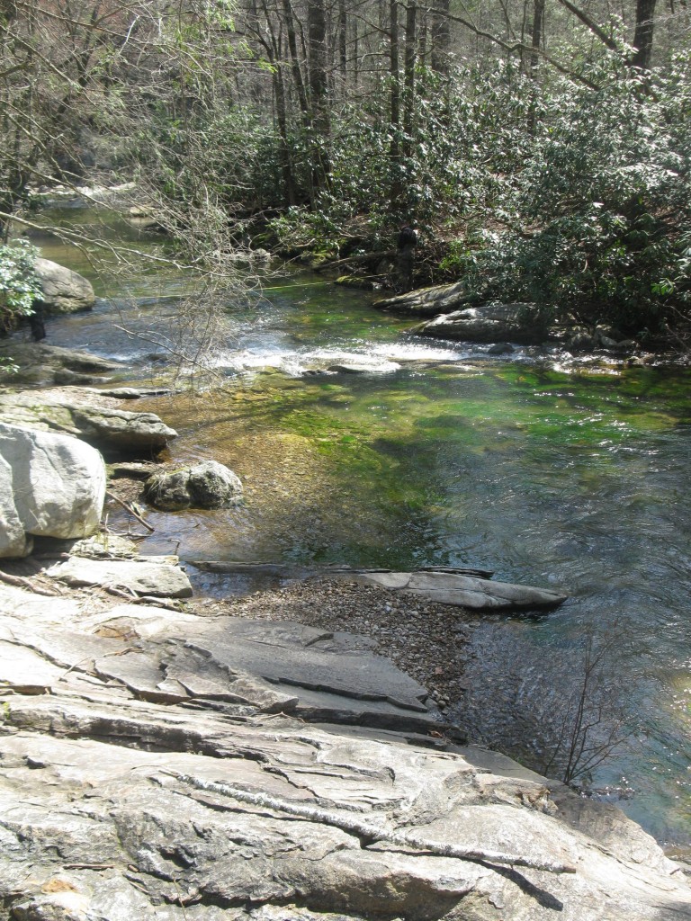 Jacob Fork River in South Mountains State Park, NC