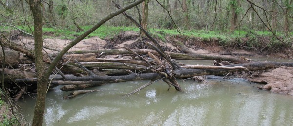 Large wood jam on Mallard Creek, near Harrisburg, NC