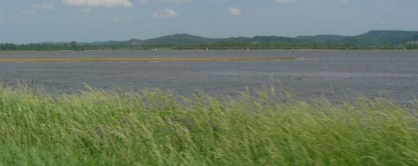Flooded fields and an irrigation line