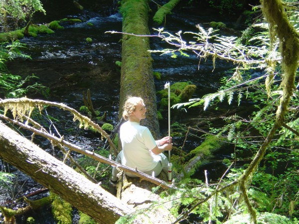 Wood in streams is utilitarian. During my PhD, I used stable large logs to cross streams and attach equipment.