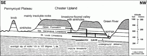 (Adapted rom Arthur N. Palmer, A Geological Guide to Mammoth Cave National Park, 1981)