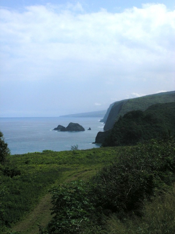 Steep cliffs on the north flank of Kohala.