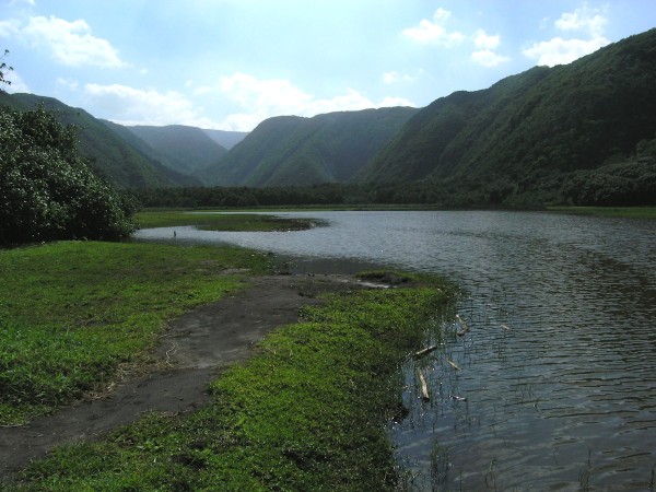 Kohala Valley