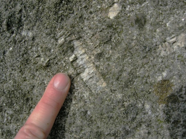 Plagioclase in granite, Dartmoor