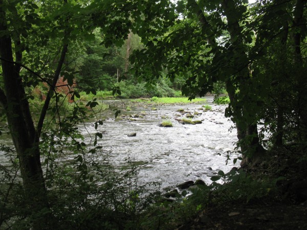 Cuyahoga River in Kent. Photo by A. Jefferson, August 2012.