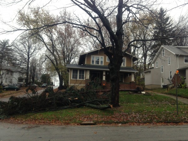 Large tree fallen in front of house.