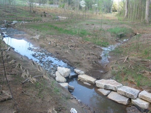 Brand new stream restoration in Charlotte