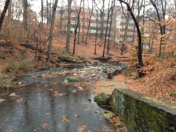 Rocky stream, fallen leaves, and building in the background