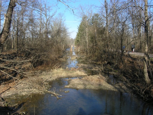 A remnant section of the Ohio & Erie Canal. 