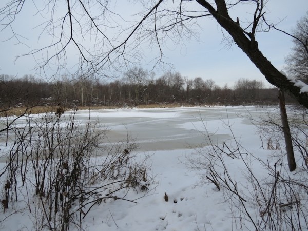 view from edge of ice covered pond
