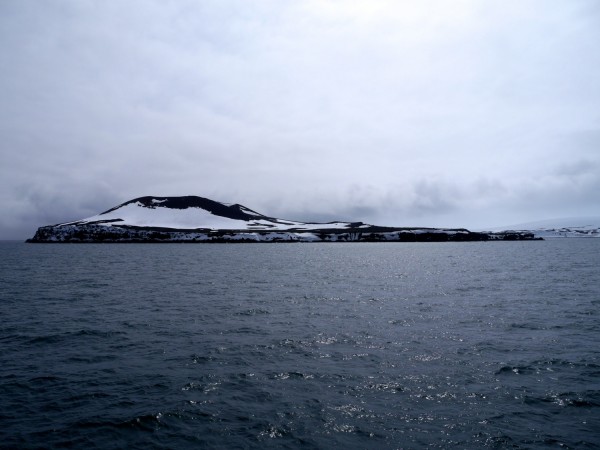 Penguin Island, South Shetland Islands