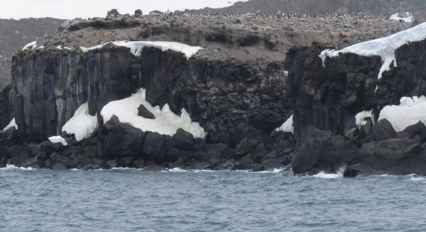 Basaltic lava cliffs on Penguin Island
