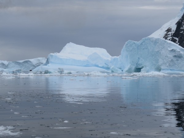 Icebergs reflecting on calm water.