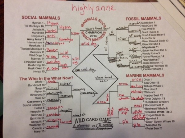 Anne's bracket. The fossil mammals category was tough. And fun. But she's seen a skeleton of a short-faced bear, and it was terrifying, so she takes it all the way.