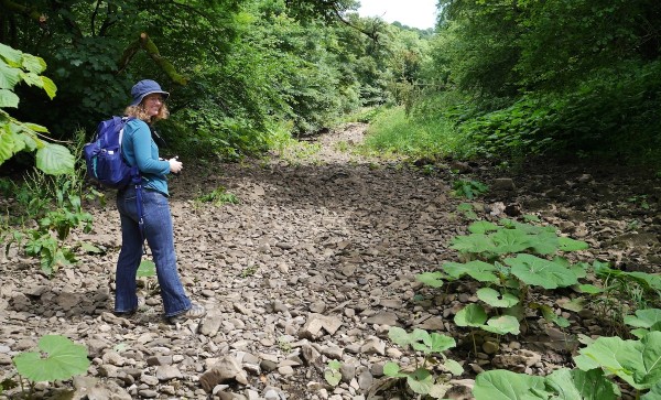 Anne standing in the channel of the River Manifold. No waders required. Photo: Chris Rowan, 2014.