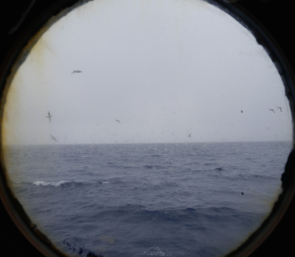 View from our porthole