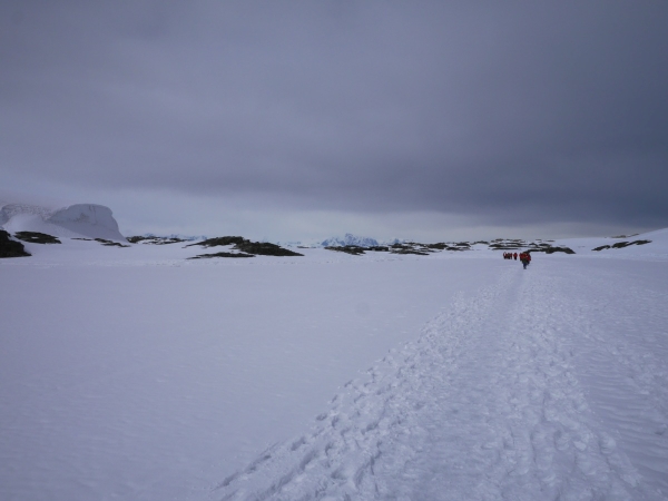 Walking across the sea ice 