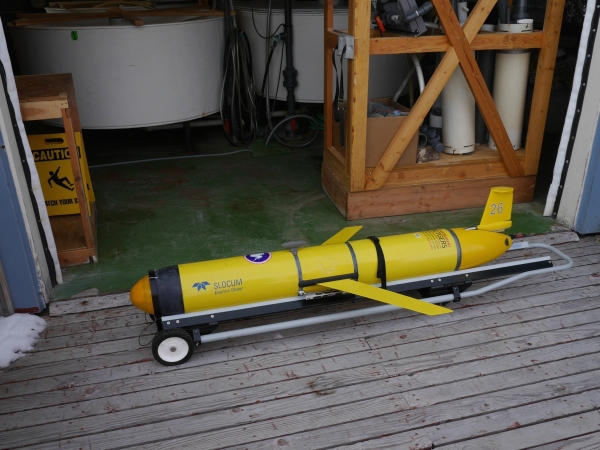 Autonomous glider used for collecting data from underneath marine ice. 