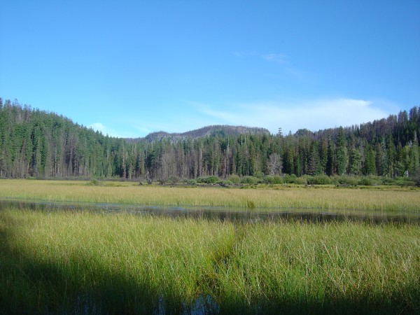 Lost Lake, looking northeast, as it appeared in September 2004. Photo by A. Jefferson, all rights reserved.