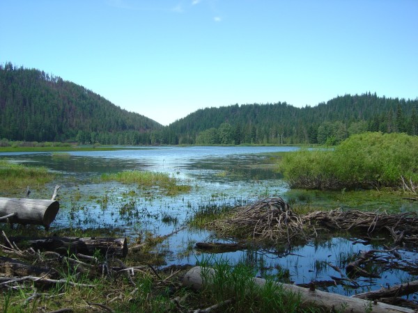 Lost Lake, from the northeast, as it appeared in June 2004. Photo by A. Jefferson, all rights reserved.
