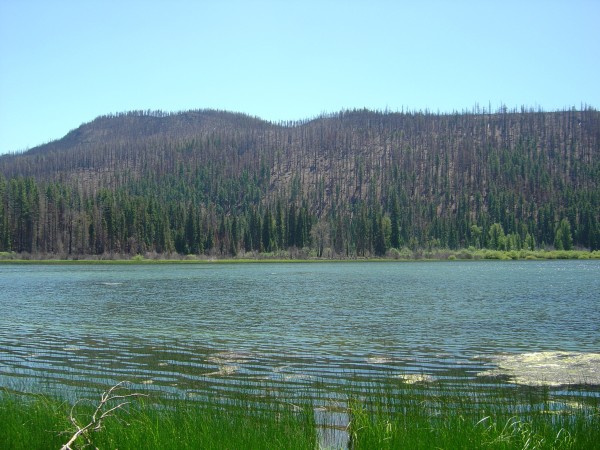 Lost Lake,somewhat fuller in June 2004. Photo by A. Jefferson, all rights reserved.
