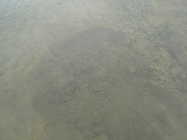 Lost Lake sinkhole, as it appeared in September 2004. Photo by A. Jefferson, all rights reserved.