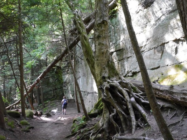  Ritchie Ledges in Cuyahoga Valley National Park