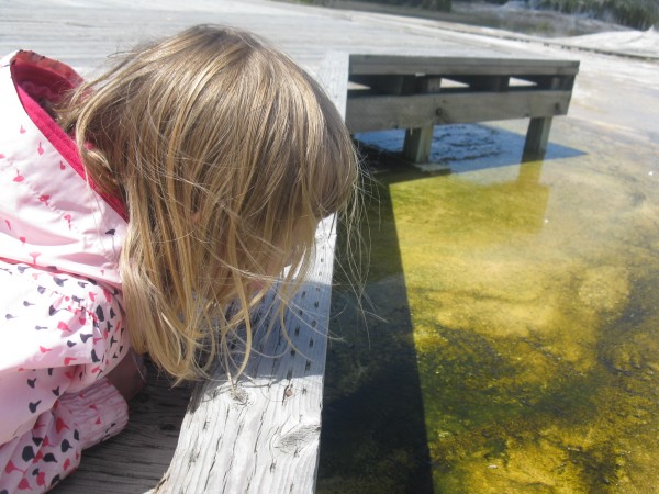 GeoKid examines hot spring algae